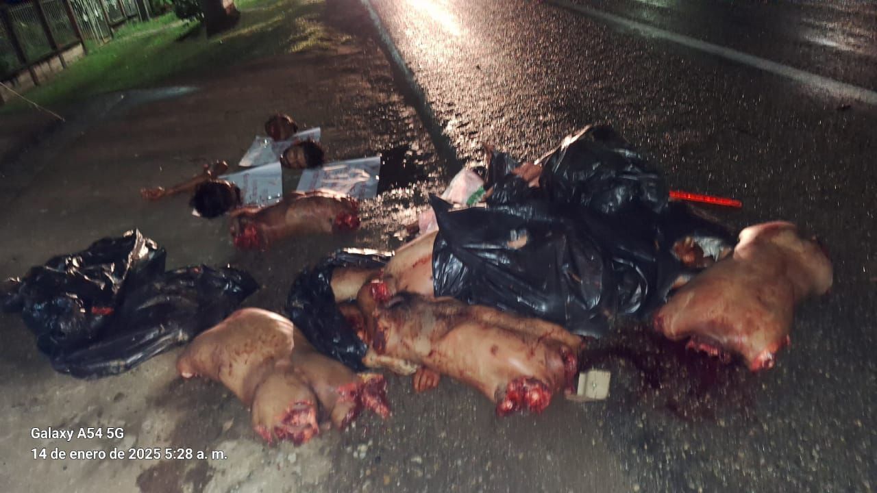 Photos of the Dismembered Bodies Left Today in Tabasco