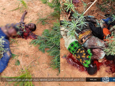 Photo report Dead apostate militias killed by Islamic State in Africa