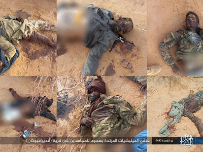 Islamic State in the Greater Sahara Kill Apostate Militias in Mali 