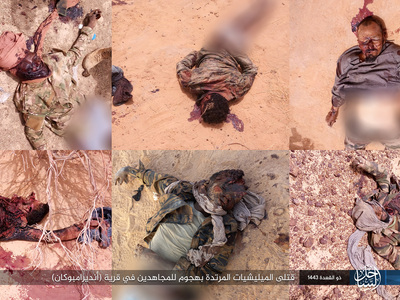 Islamic State in the Greater Sahara Kill Apostate Militias in Mali 