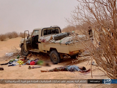 Islamic State in the Greater Sahara Kill Apostate Militias in Mali 