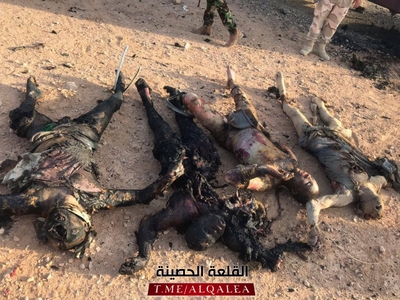 4 pigs isis killed in western Iraq