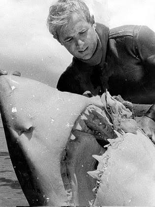 This Is What Shark Can Do To You