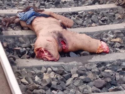 Indian female crushed by train