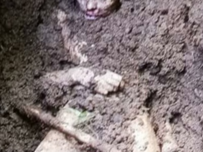 Indonesian woman killed and buried in shallow grave 