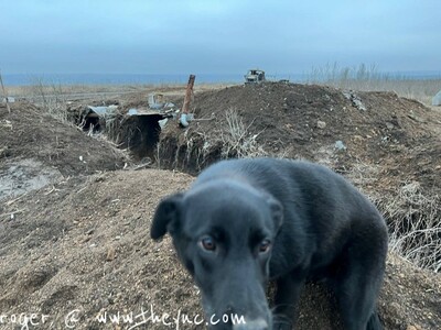 DPR killed some Ukrainian soliders in there Trench