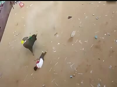 (another angle) the killer bull