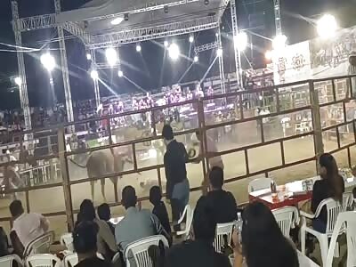 monday fuck a bullfighter