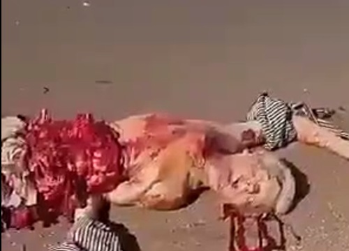 Old man turned into a meat paste.