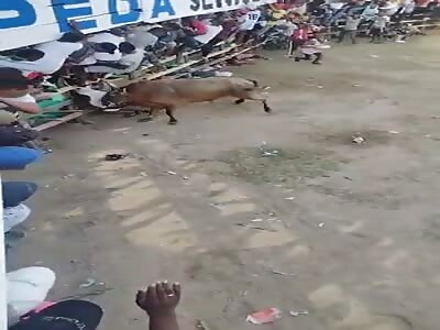 Brutal, man dies in the arena