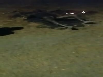 Man on the fire in terrible agony 