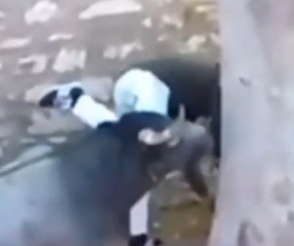 The best of the Spanish races of the week