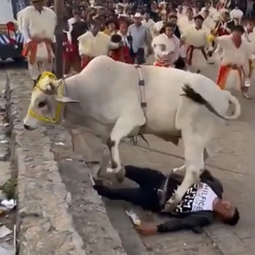 Bull Goes for High Score During Mexican Festival