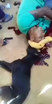 Man and his Best Friend (His Dog) both Executed with Head Shots 