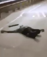 Full Video of Murder in Mumbai in Broad Daylight 