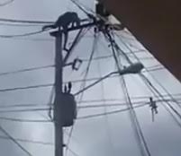 New Video of Man Climbing on Pole, gets Electrocuted and Falls to Death