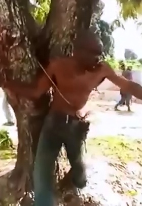 All this for a Few Bananas