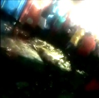 Man was Beaten to Death outside a Porta-Potty (Info in Description) 