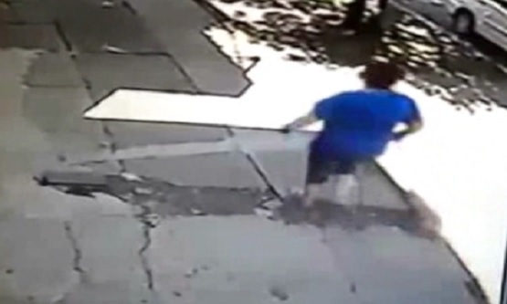 Pittbull Attacks Lady and Her Dog