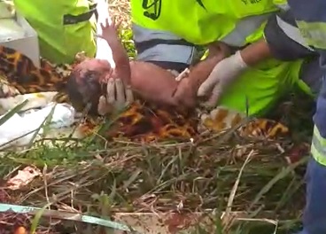 Medics Rescue Baby Ripped Out of Pregnant Woman Torn in Half 