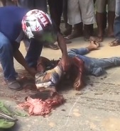 Picking the Brains and Gorey Mess Up.