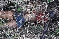 Dead Decomposing Murdered Body of Girl Found 