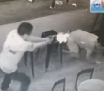 Brutal Senseless Murder of Innocent Man