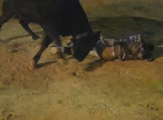 Bull Gets Revenge! 