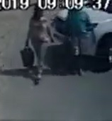 Bad Day to Go for a Walk