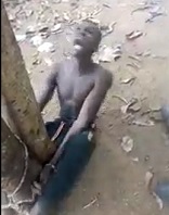 Caught Stealing Gets Tree Torture