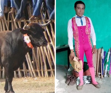 Bull Goes in for the Win