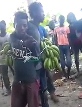 LOL Banana Thieves 