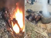 Burn, Sizzle, Smoke ... Two Thieves BBQ'd 