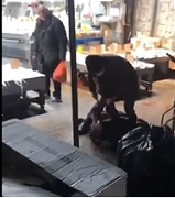 Stabbing in Little China.. Brooklyn