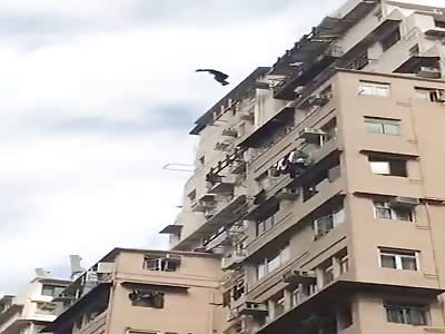 Birdman in hong kong