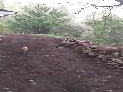 PSYCHO CHICKEN KILLER