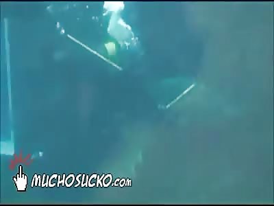 Don't poke the wildlife 