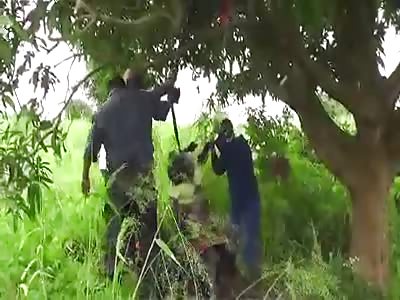 black and ugly woman is killed because nobody gave anal