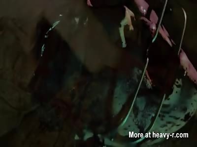 necrofilia  horror    shocking   