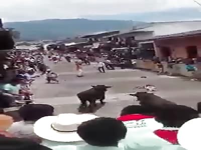 bullfight an art   1