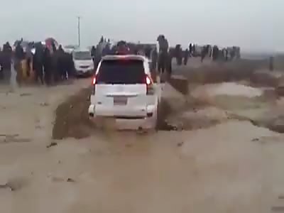  Thanks for being stupid human