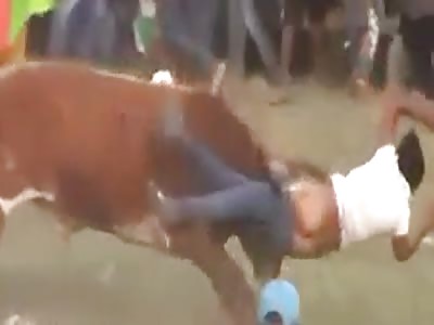 The cow was in the mood to see her tits