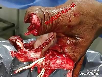 Compiled from beautiful images  (2)