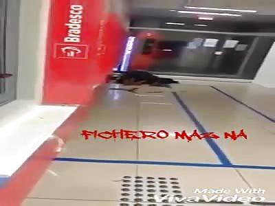 Brazilians reproducing in public