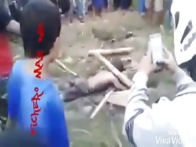 Thief is hit with stick