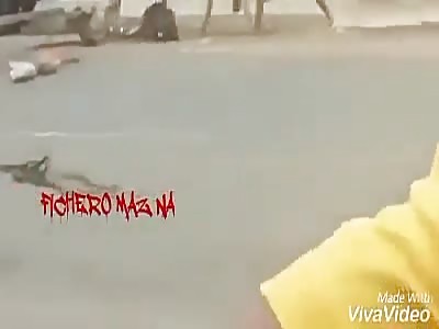 PITBULL ATTACKING A HORSE IS BEATEN TO DEATH WITH STICK  (Another angle)