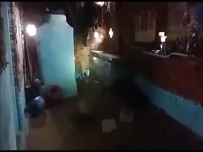 Leopard inside his house