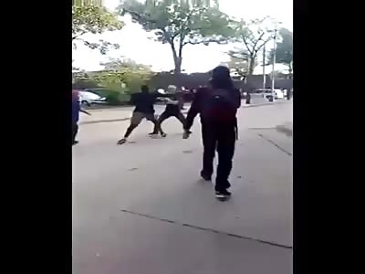 David vs goliat fight