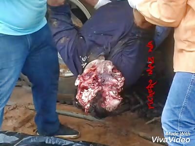 Two men die crushed by truck hopper