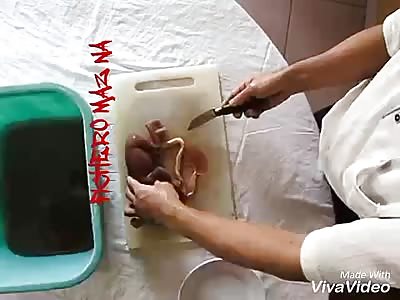 Eat fetuses, say it tastes like chicken